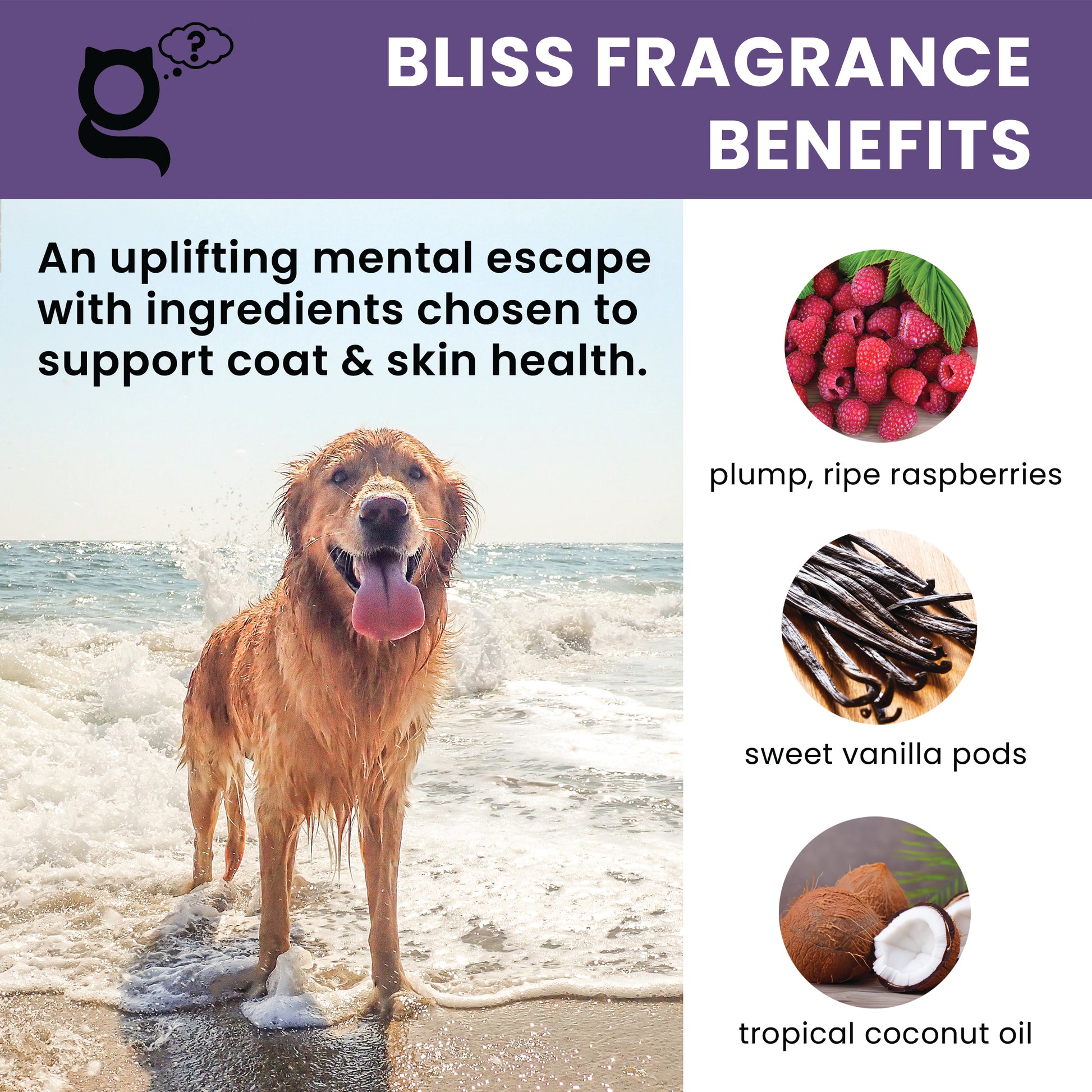 THE PET GURU DOG SHAMPOO BLISS UPLIFTING FRAGRANCE - NATURAL DOG GROOMING