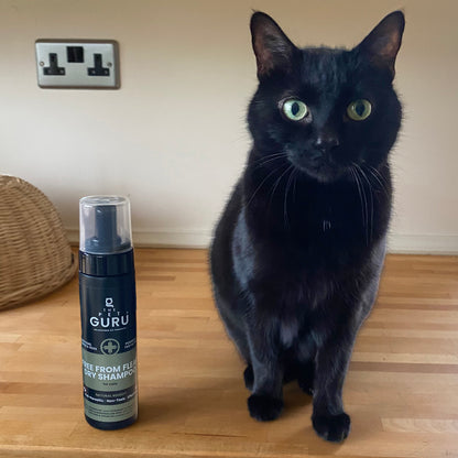 Free From Fleas dry shampoo for Cats, 200ml