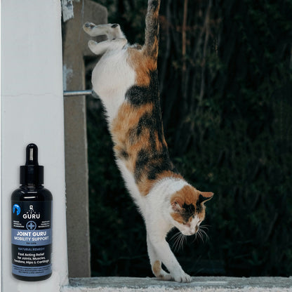 Joint Guru mobility support for Cats, 100ml