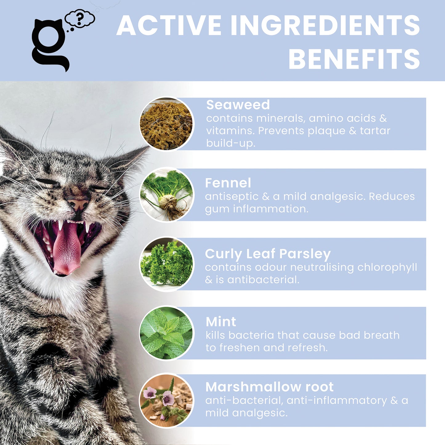 Plaque Guru oral hygiene supplement for Cats, 100gm