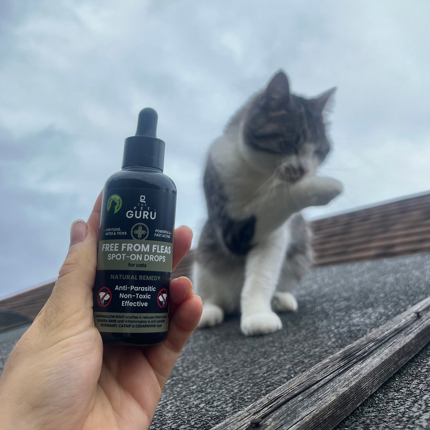 Free From Fleas spot-on for Cats, 100ml