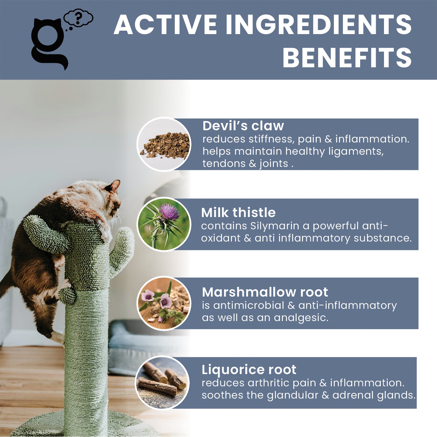 THE PET GURU JOINT GURU MOBILITY SUPPLEMENT NATURAL SUPPORT FOR CATS