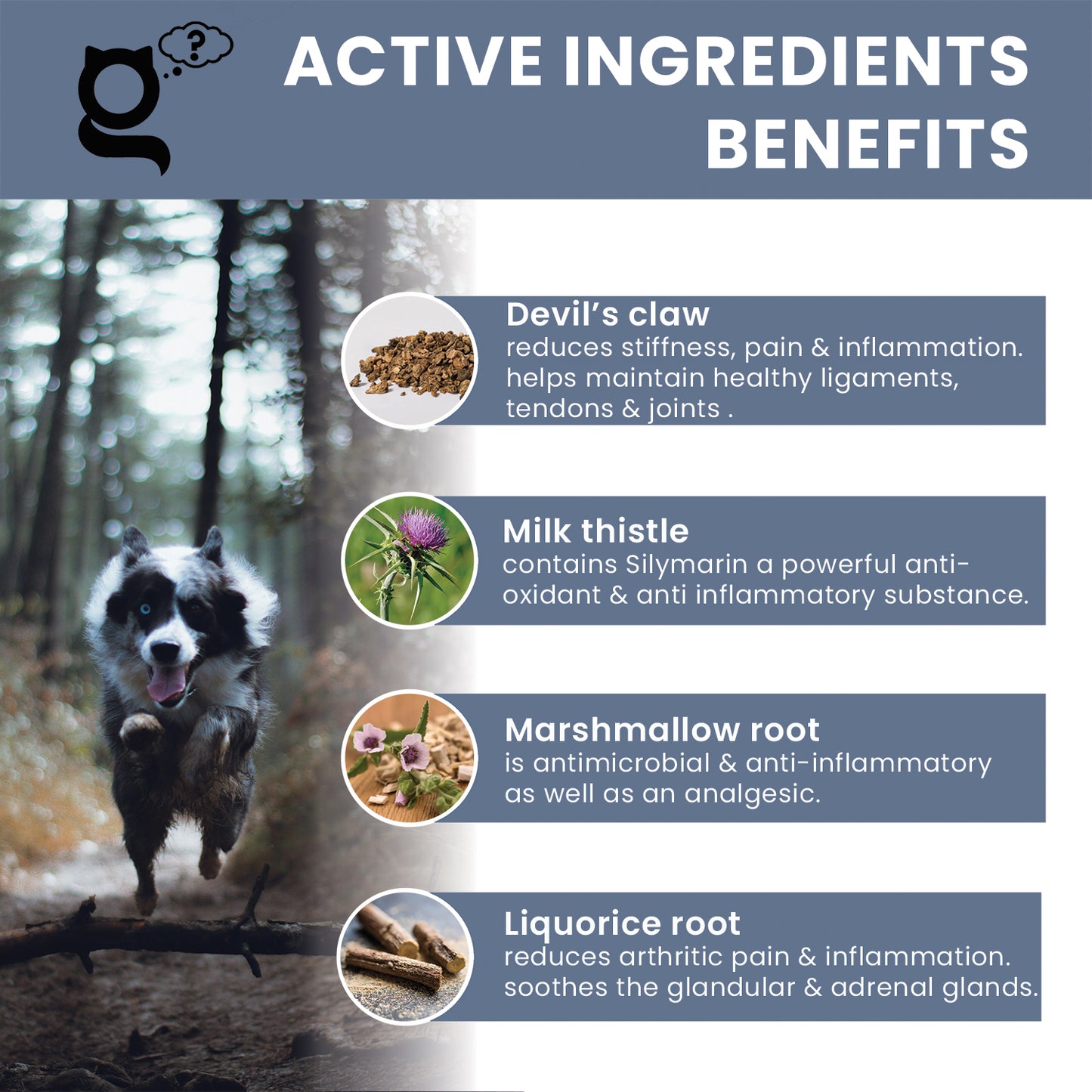 the pet guru natural joint supplement for dogs - mobility and flexibility - dog joint health