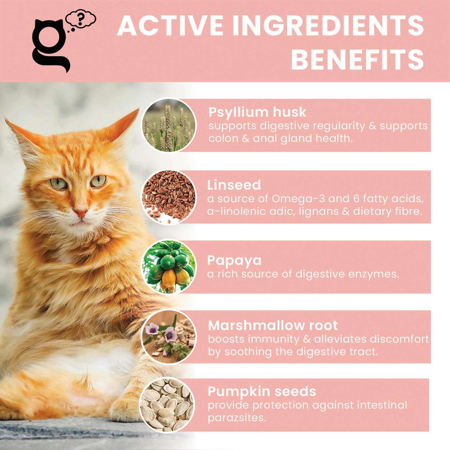 the pet guru - natural tummy settler -tummy guru - digestive powder supplement for cats - anti hairball - supports digestive function